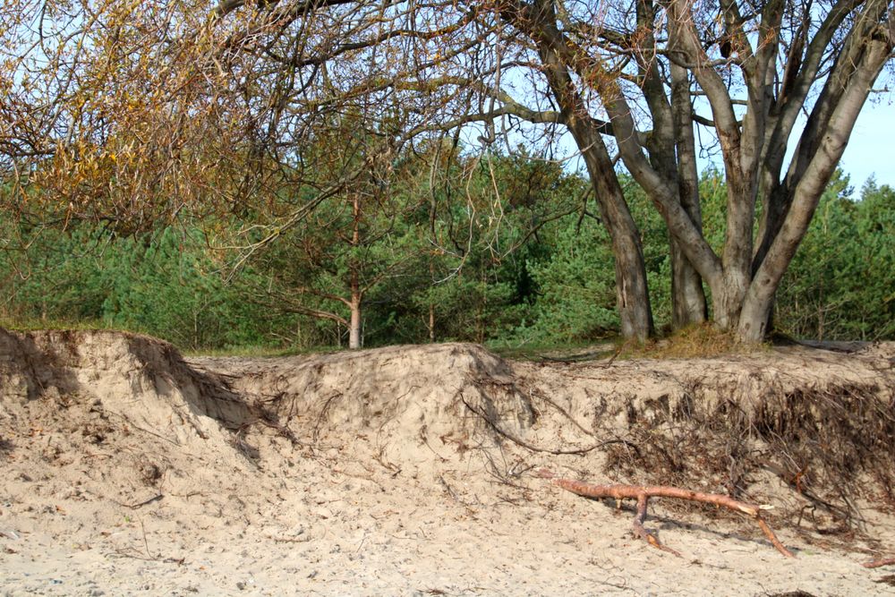 An der Abbruchkante... Foto & Bild deutschland, europe, mecklenburg