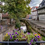 An der Abzucht I - Goslar/Harz