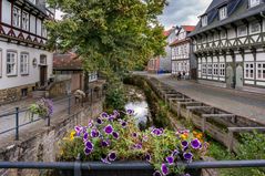 An der Abzucht I - Goslar/Harz