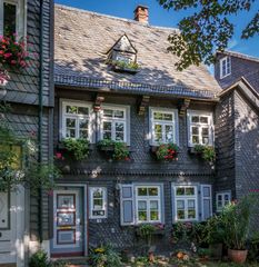 An der Abzucht II - Goslar/Harz