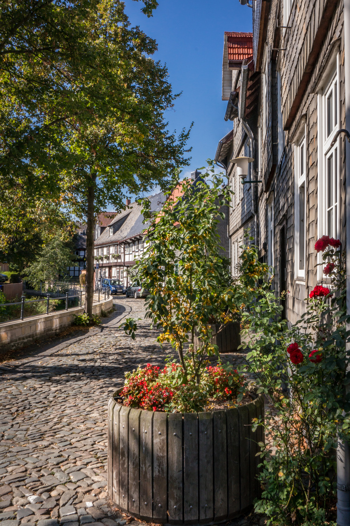 An der Abzucht III - Goslar/Harz