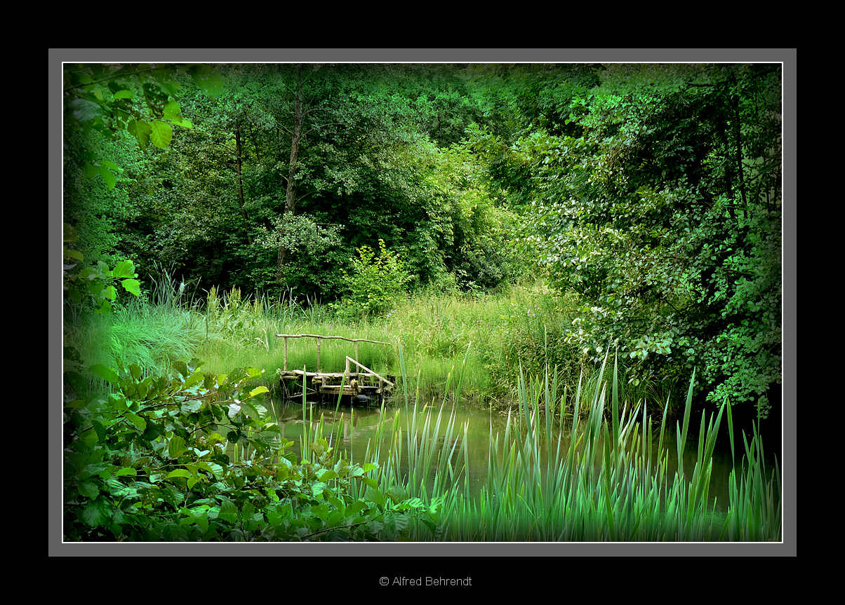 An der Alle in Reußen