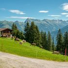 An der Alm