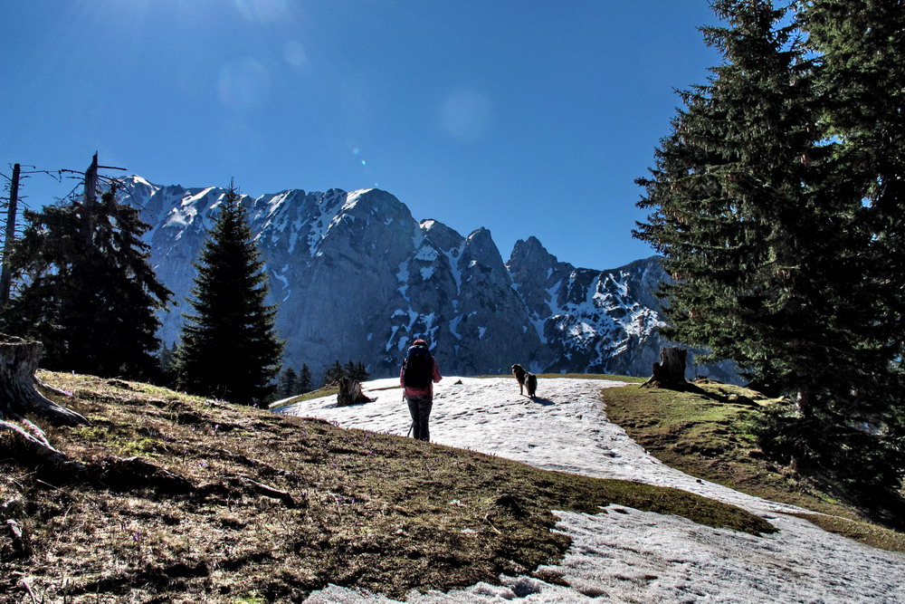 An der Alm Korosica