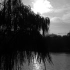 An der Alster