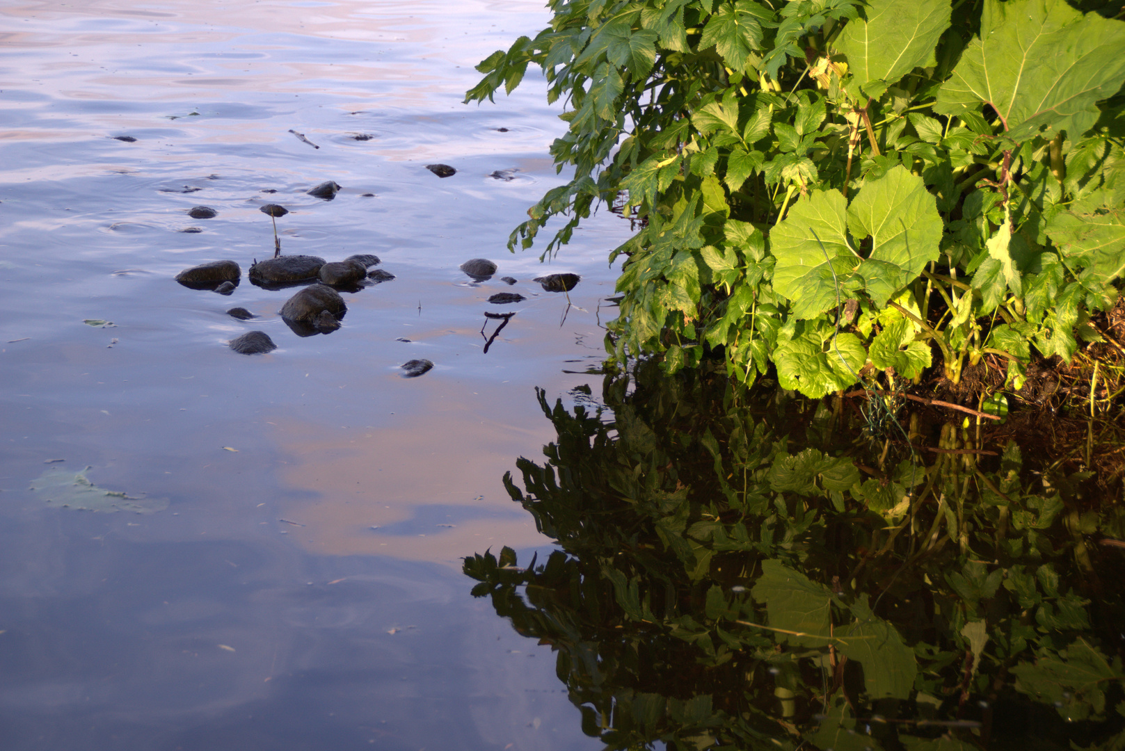 An der Alster