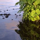 An der Alster