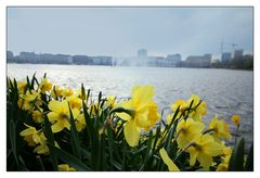 An der Alster....