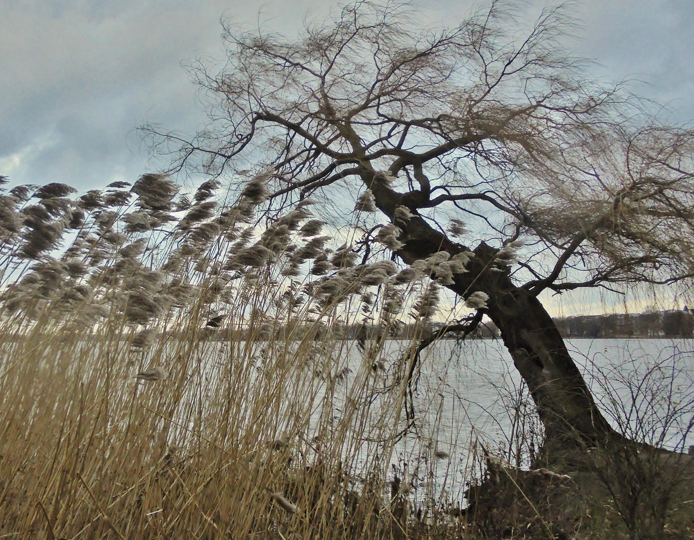 an der Alster