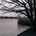 an der Alster...