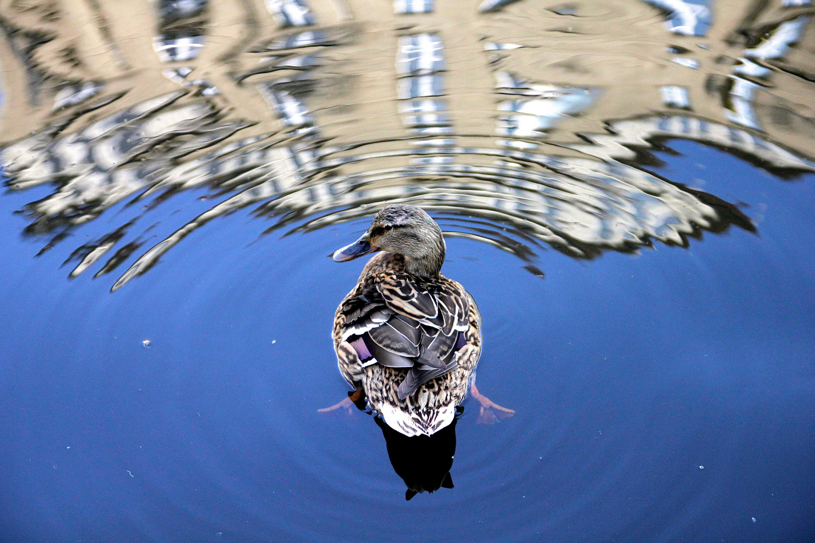 ...an der Alster...