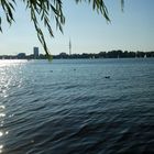 An der Alster ist es schön