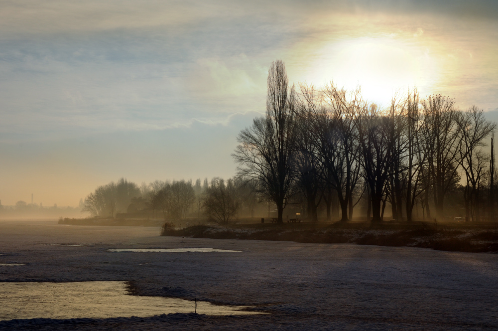 an der Alte Donau