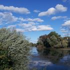 an der alten Aare, Naturschutzgebiet (02.10.16)