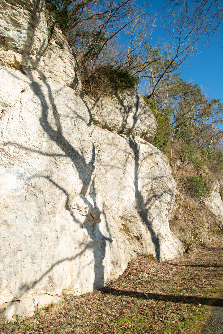 An der alten Donau