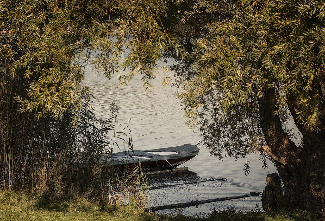 An der Alten Donau