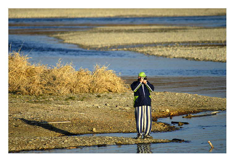 An der alten Donau