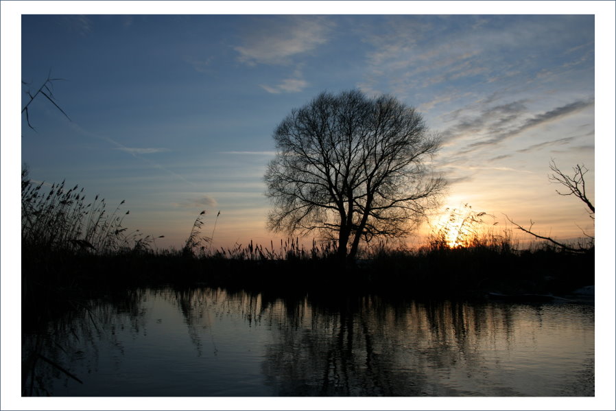 An der Alten Elbe