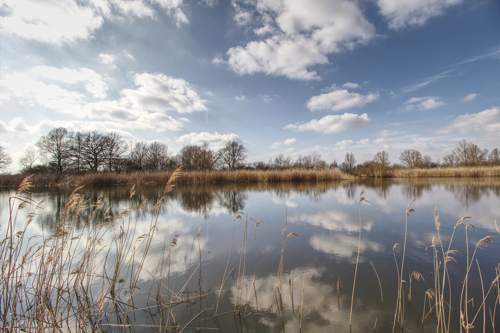 An der alten Elbe