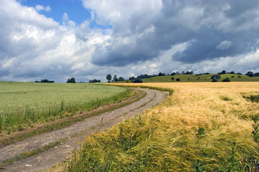 An der Alten Landstraße