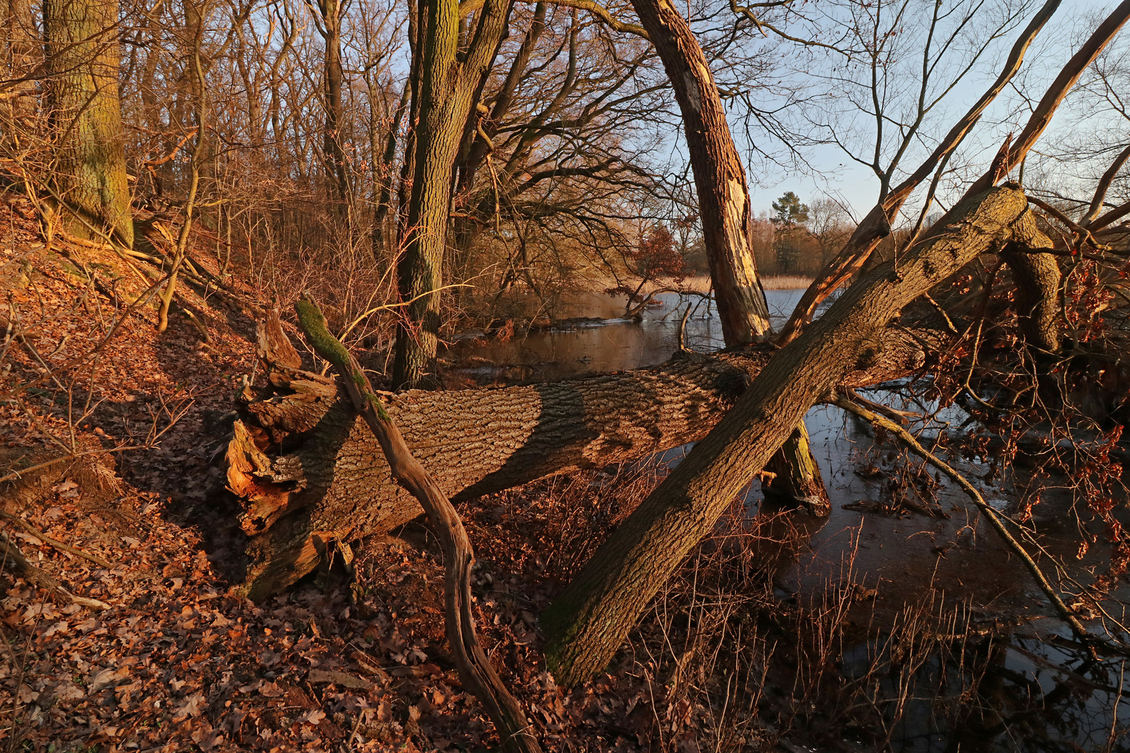 An der Alten Landwehr