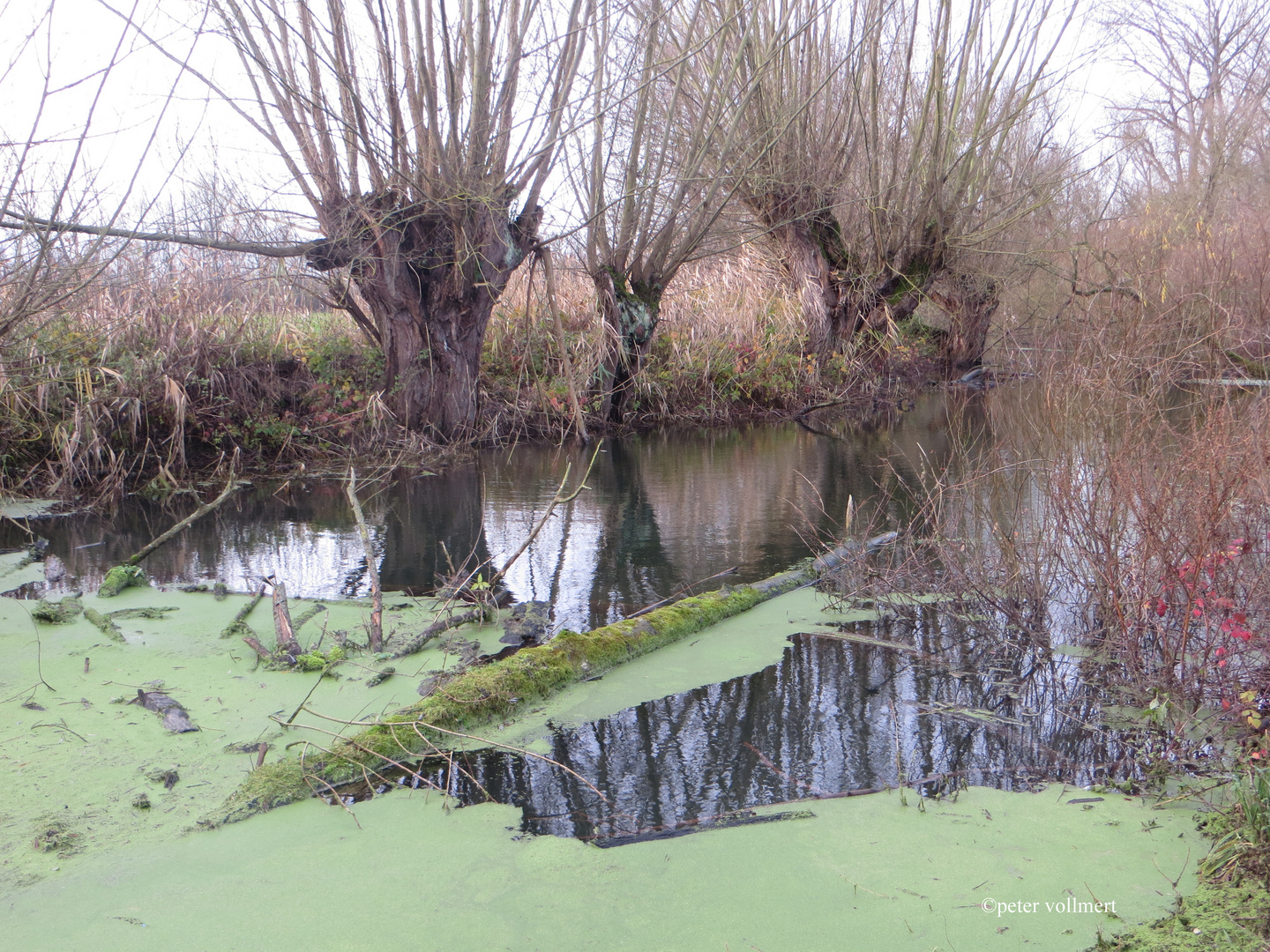 an der alten Leine