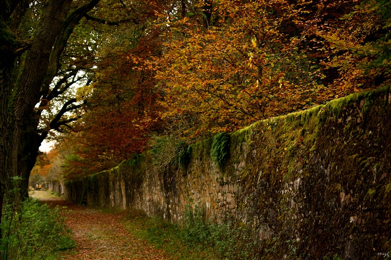 An der alten Mauer entlang...