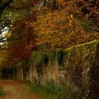 An der alten Mauer entlang...