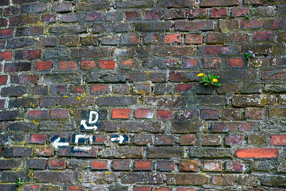 An der alten Mauer in Kaiserswerth.-------------------120_4629