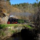 An der alten Schieferbrücke über die Selke in der Nähe von Alexisbad...