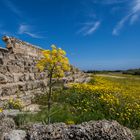 An der alten Stadtmauer der antiken Stadt Salamis im Nordosten Zyperns