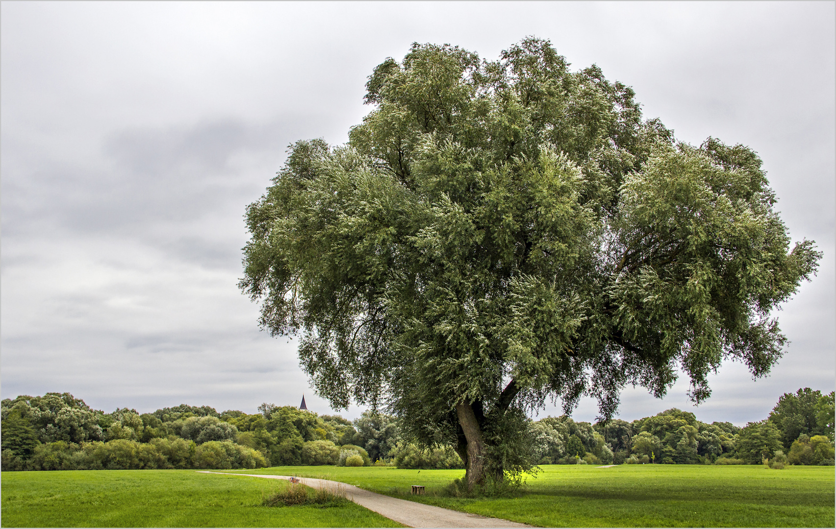 An der Alten Weide