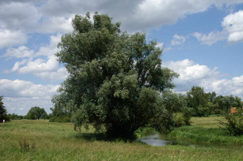 An der Altmühl