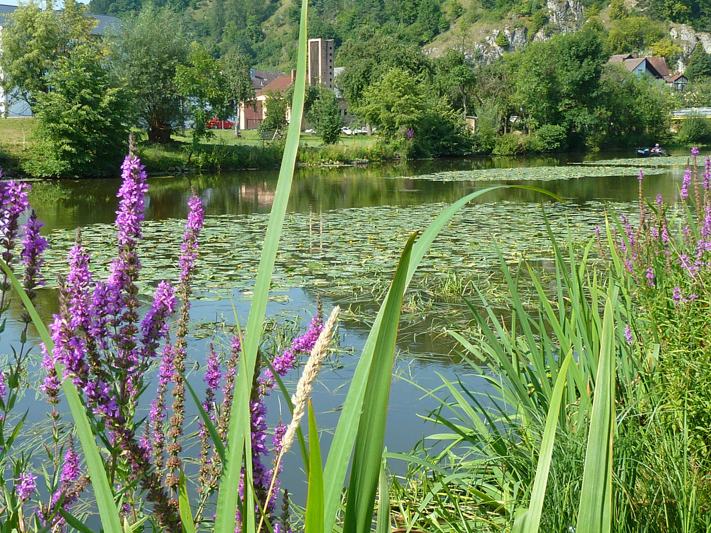 An der Altmühl bei Dollnstein