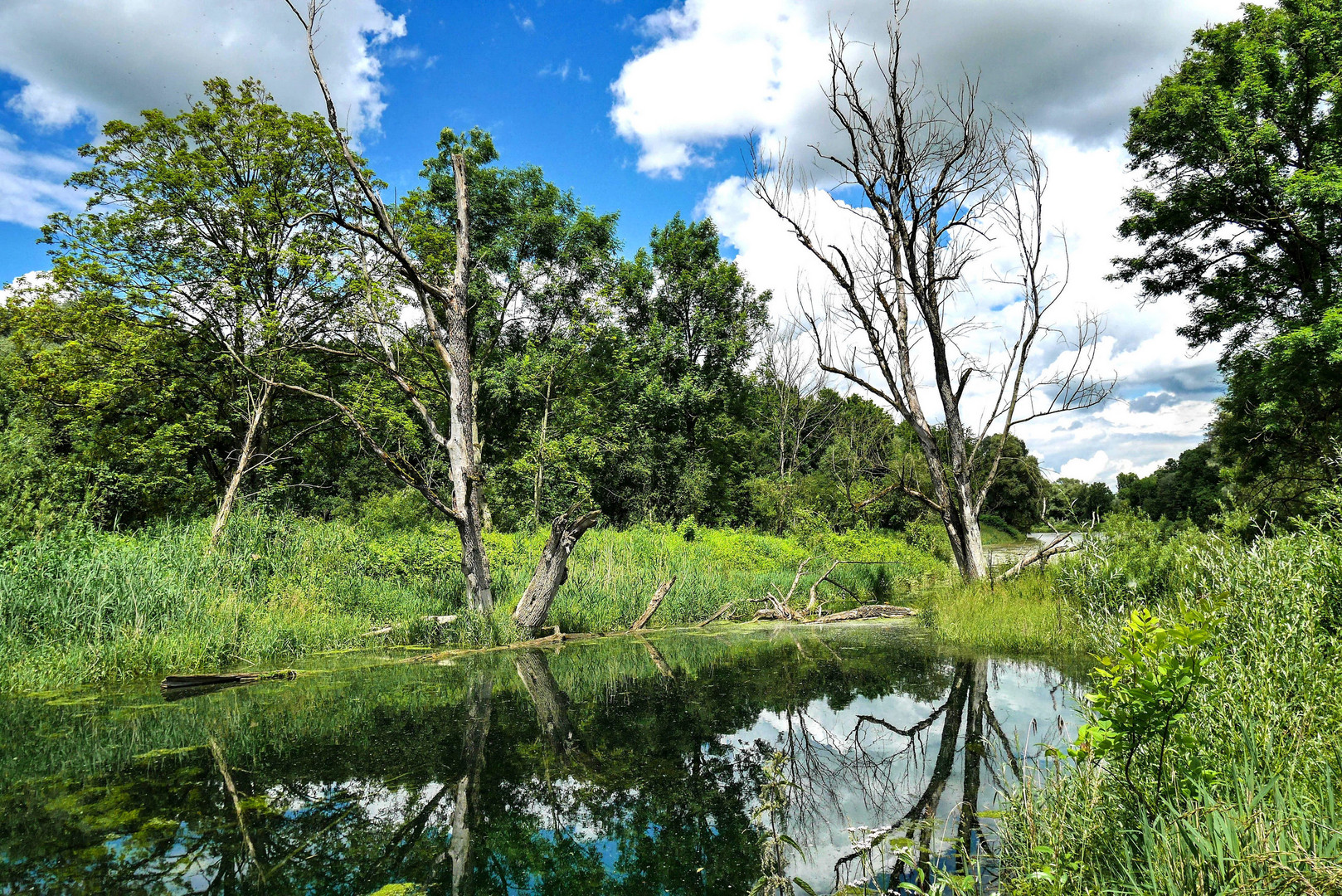 An der Amper (Bayern)