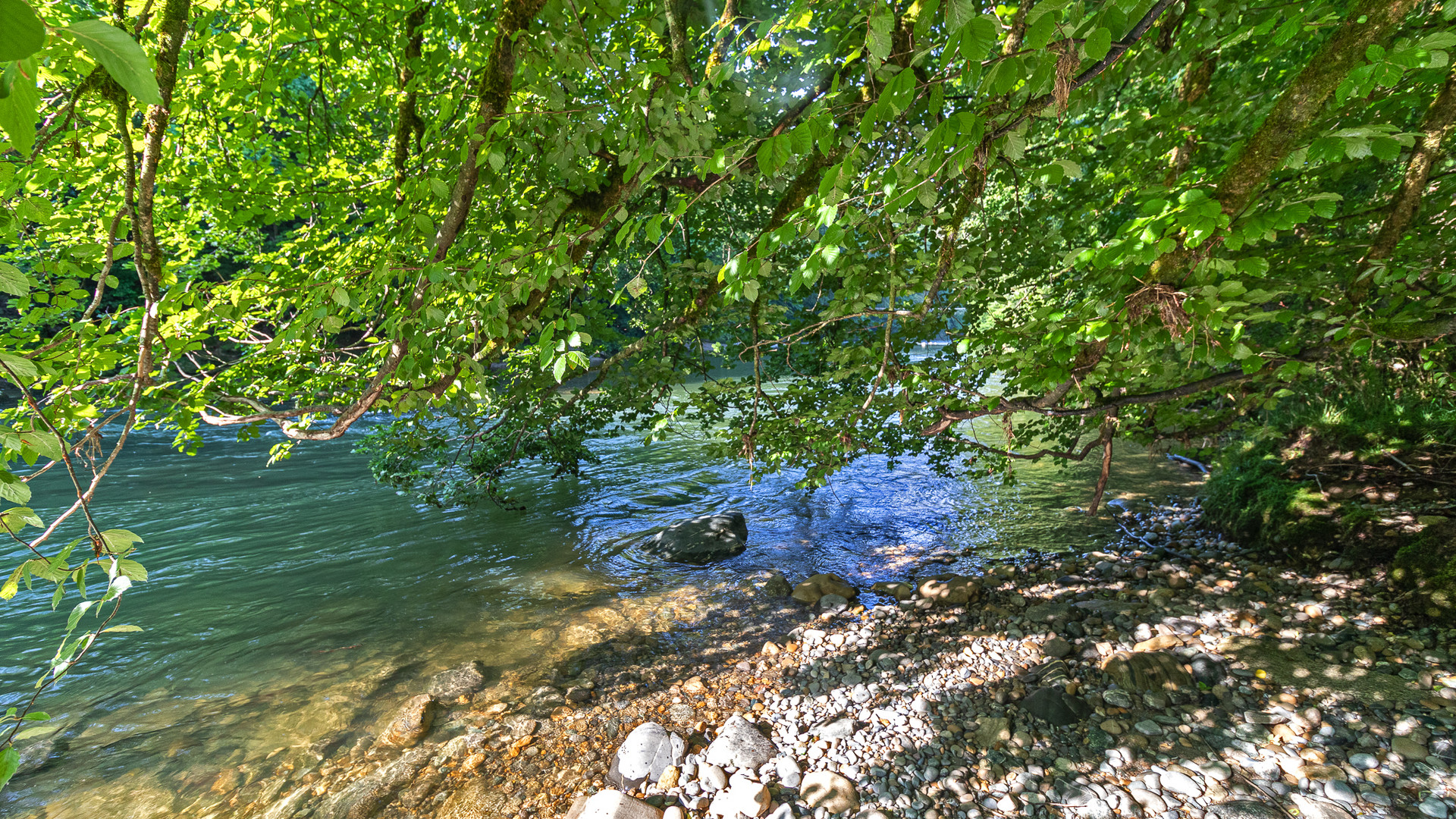 an der Argen Foto & Bild natur, landschaft, fluss Bilder auf