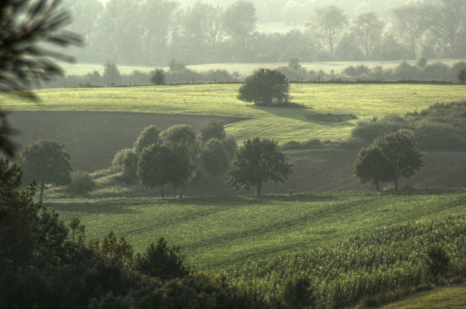 An der Asse bei Wolfenbüttel (Niedersachsen)