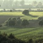 An der Asse bei Wolfenbüttel (Niedersachsen)