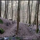 An der  Bärenhöhle bei Rodalben