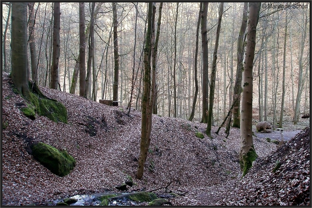 An der  Bärenhöhle bei Rodalben