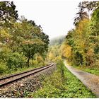 An der Bahnstrecke im Taubertal 