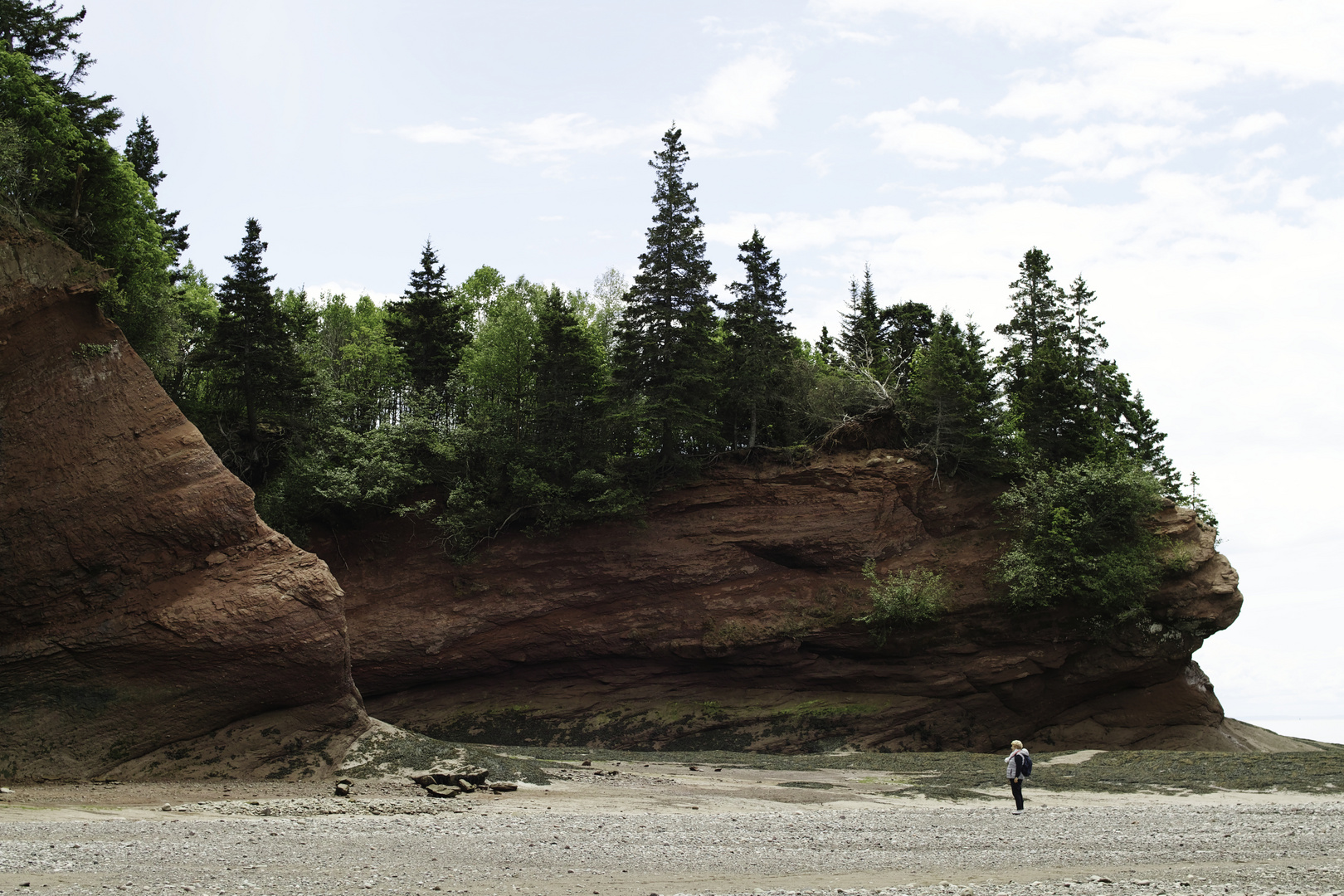 An der Bay of Fundy bei Ebbe