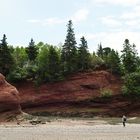 An der Bay of Fundy bei Ebbe