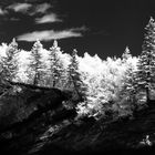 An der Bay of  Fundy bei Ebbe in IR