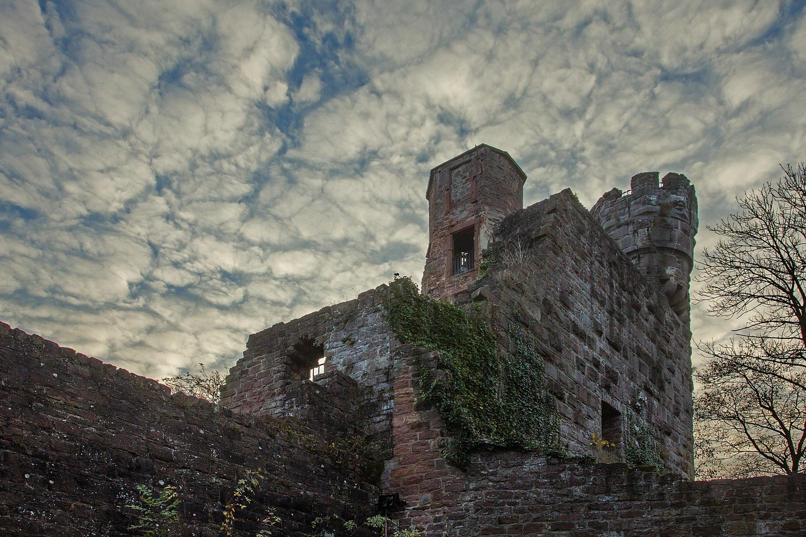 An der Bergfeste Dilsberg