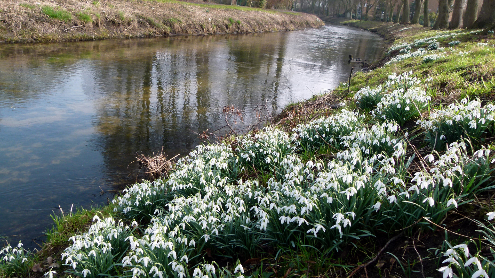 An der Berkel