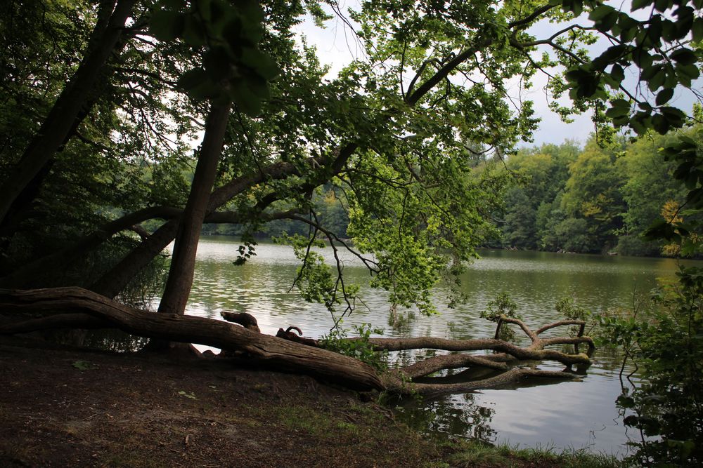 an der Berliner Seenplatte auf Motivsuche