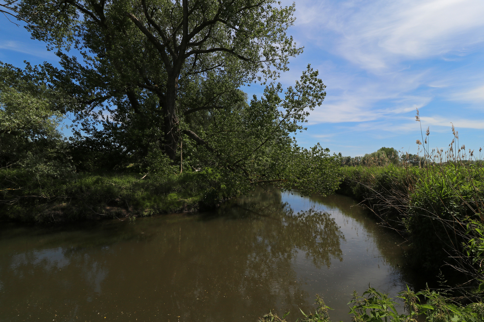 An der Biegung des Flusses