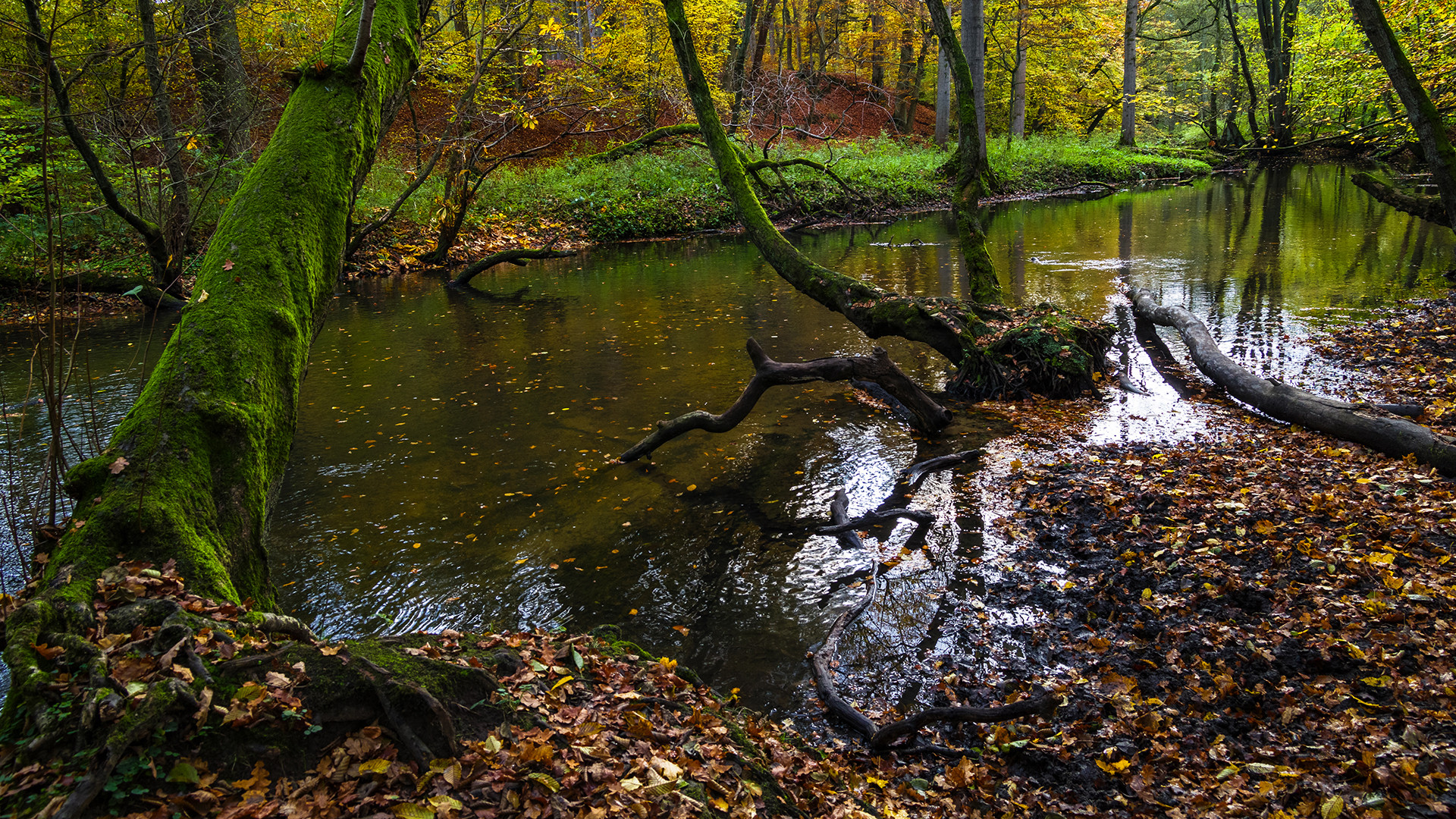 An der Bille, Stormarn