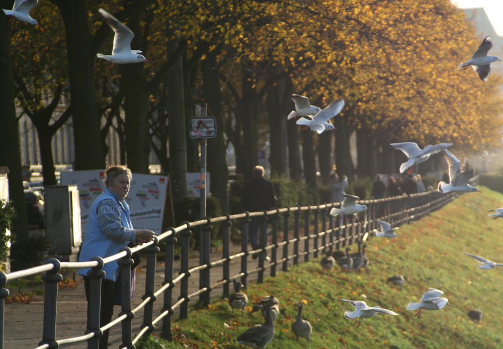 An der Binnenalster